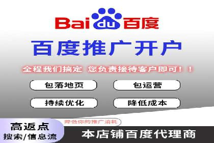 行业揭秘：百度竞价广告的优化技巧与案例